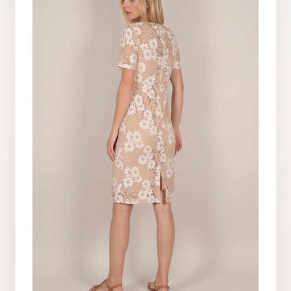 Molly Bracken Tan Cream Crochet Flower Modest Classic Preppy Sheath Dress Med - Picture 2 of 14